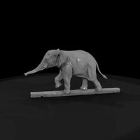 cir-135-animal-tightrope-elephant — thumbnail 4