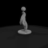 cir-119-animal-balancing-seal — thumbnail 4