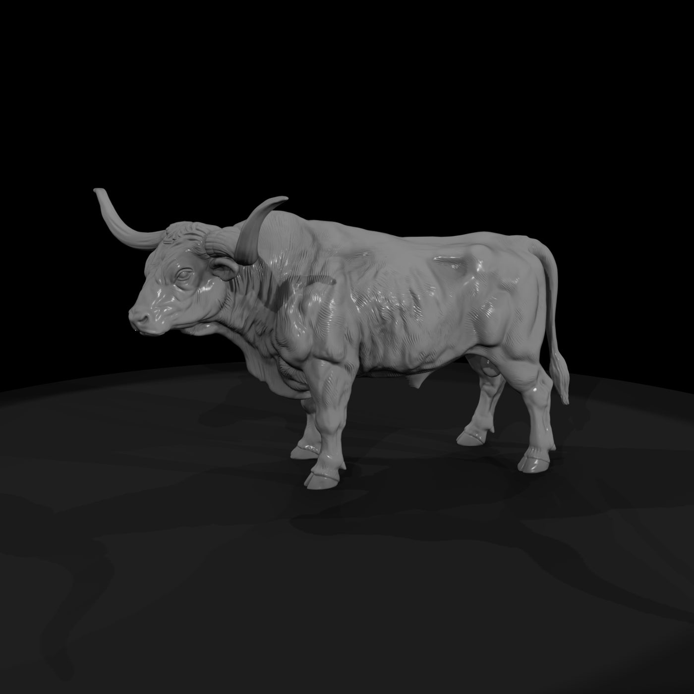 ww-0296-animal-longhorn-bull