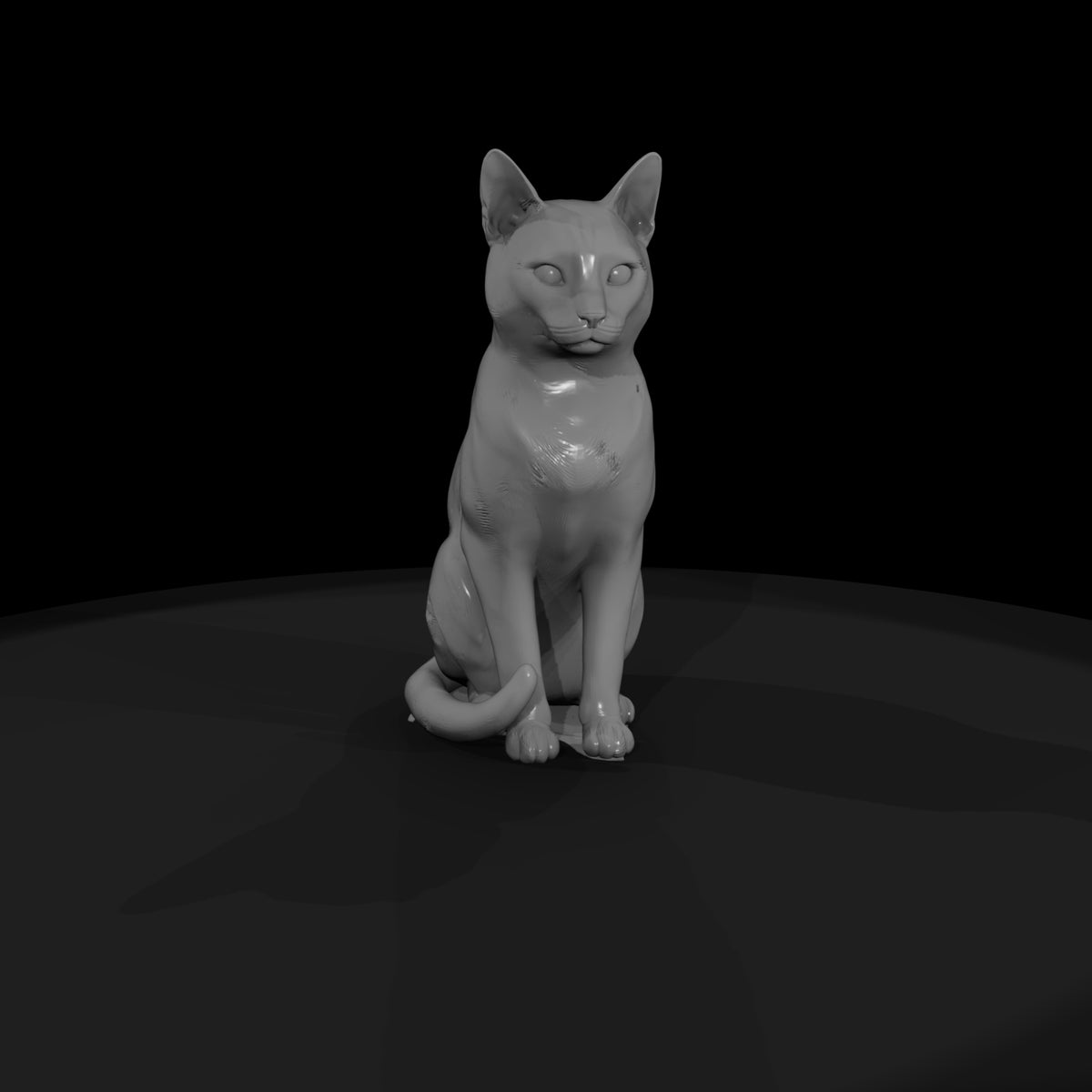 a-collection-of-housecats-snowshoe-bc6d2bb2-meshre