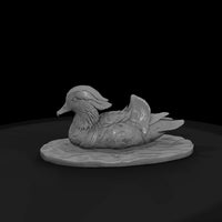 ant-094-mandarin-duck-male — thumbnail 4