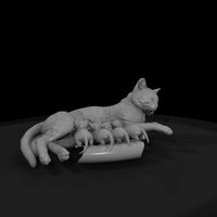 a-collection-of-housecats-mother-a64bb628-meshref — thumbnail 4
