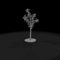 stylized-small-leafy-tree-diorama-scenery-ho-1-87-compatible-766829 — thumbnail 5