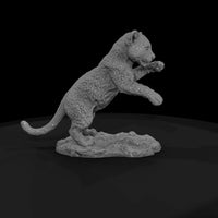 ant-009-leopard-adolescent — thumbnail 4