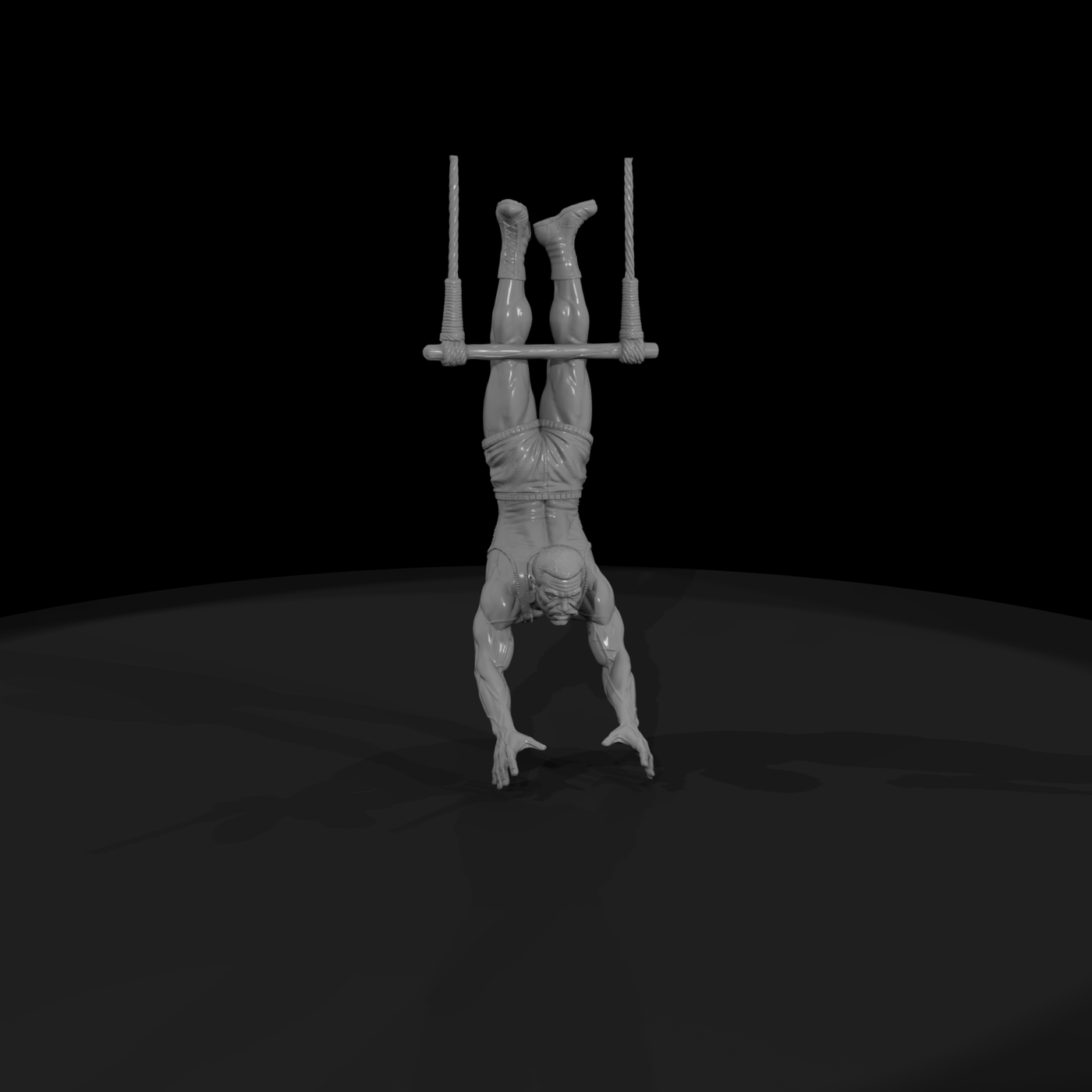 Cir 003 Performer Trapeze Catcher