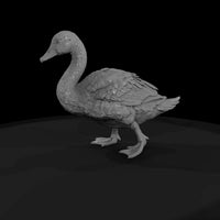 ant-123-mute-swan-adolescent — thumbnail 4