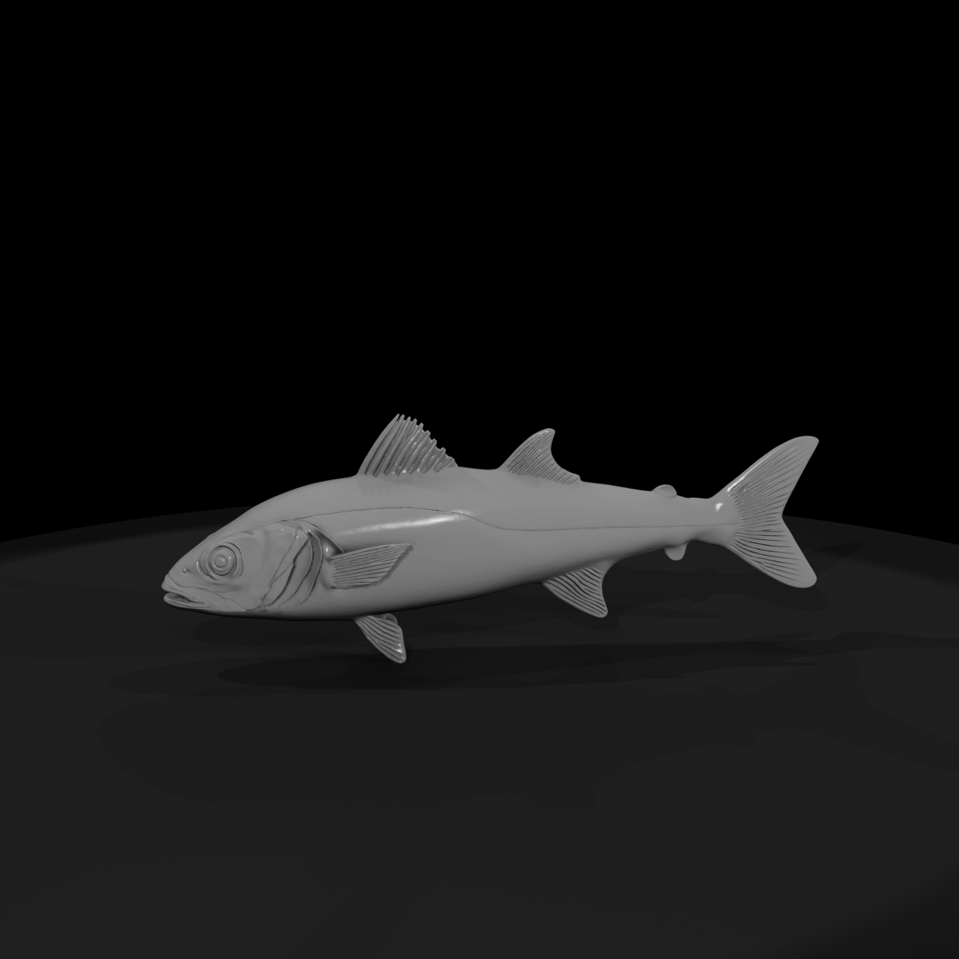 Realistic Saltwater Fish