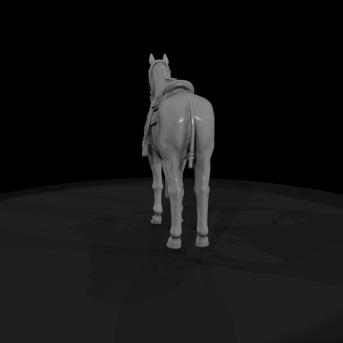 horse-white