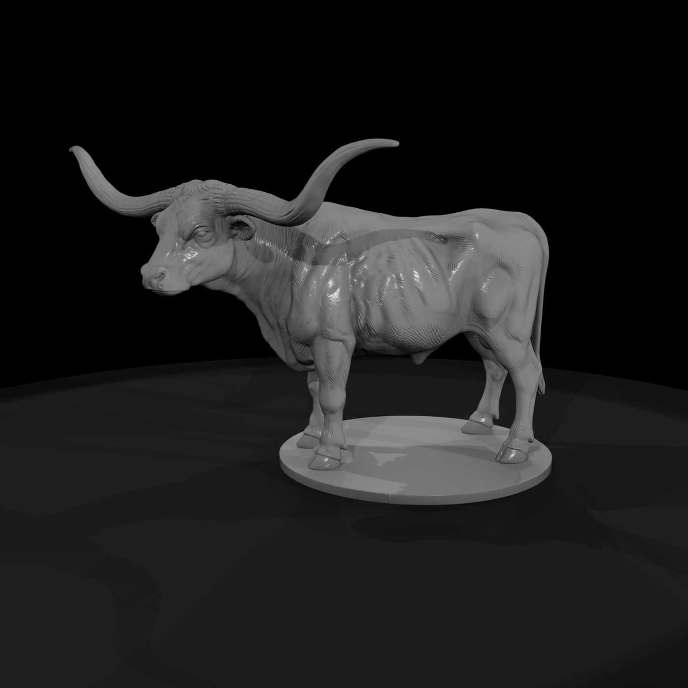 ww-0294-animal-texas-longhorn-steer