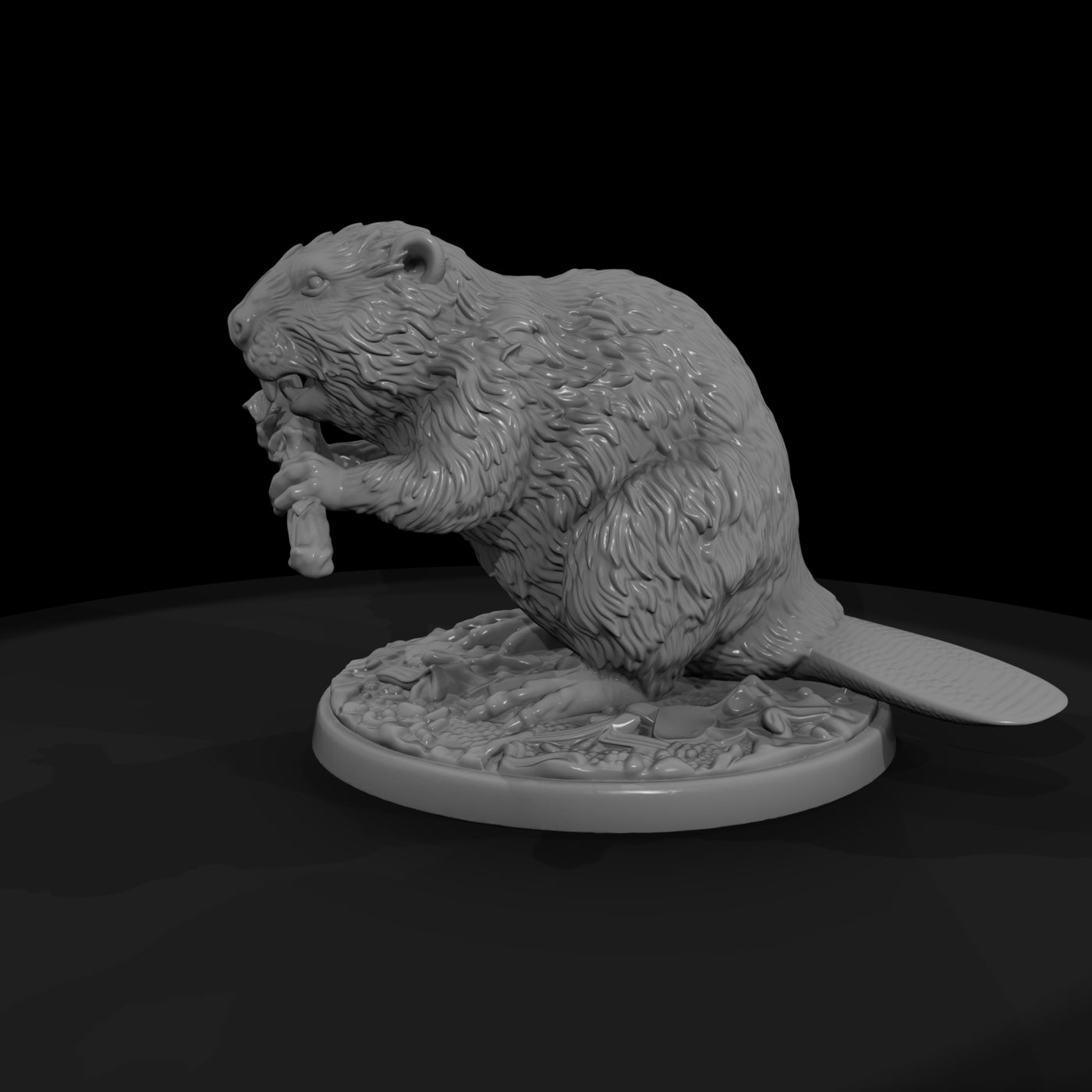 ant-187-beaver-male