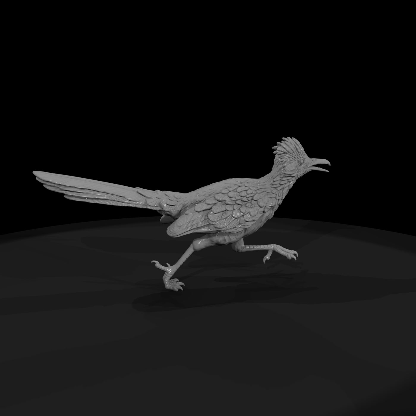 ww-0348-animal-roadrunner