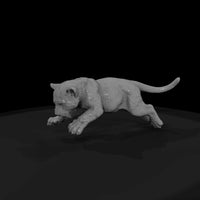 ant-153-jaguar-adolescent — thumbnail 4