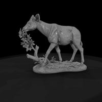 ant-251-okapi-female — thumbnail 4