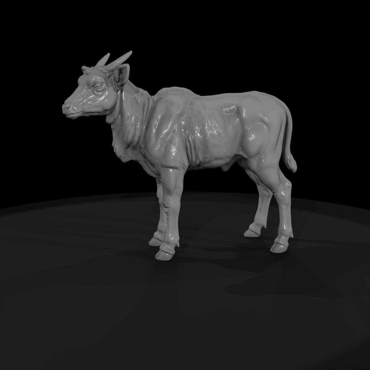 ant-243-eland-adolescent