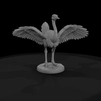 ant-082-ostrich-male — thumbnail 4