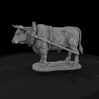 ww-0279-animal-ox — thumbnail 4