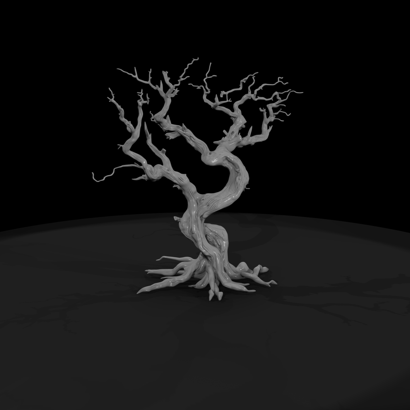 20260612 Ancient Twisted Dead Tree Cfc565E291