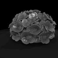 stylized-sculpted-flower-cluster-3d-model-ufkvszgk-51a866 — thumbnail 5