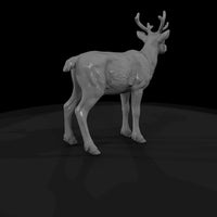ant-063-caribou-adolescent — thumbnail 5