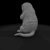 ant-185-sea-otter-female — thumbnail 5