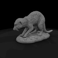 ant-191-meerkat-female — thumbnail 5