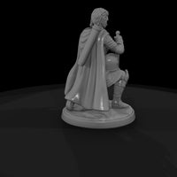 fadv-18-half-elf-paladin-6b5dc5 — thumbnail 5
