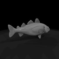 spotted-drum-fish-miniature-ho-1-87-diorama-prop-507234 — thumbnail 6