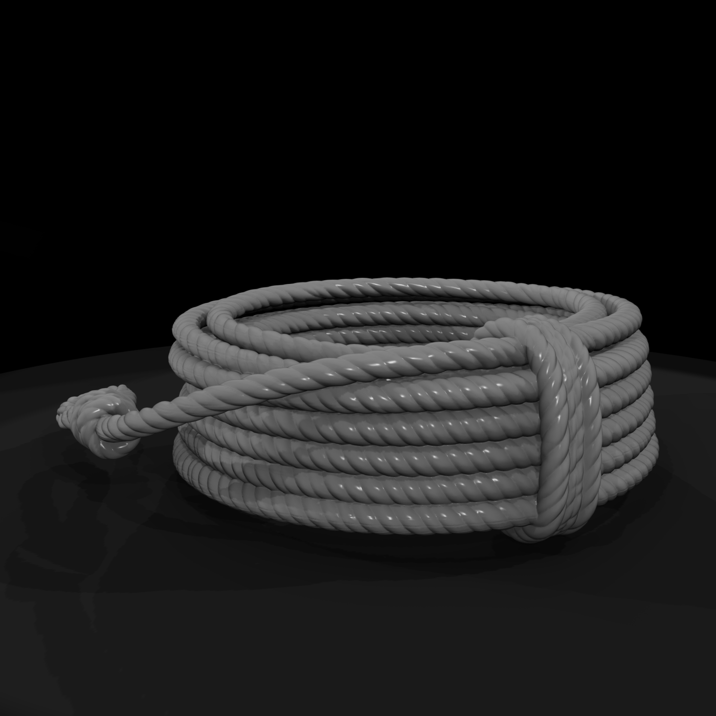 Coiled Lariat Rope