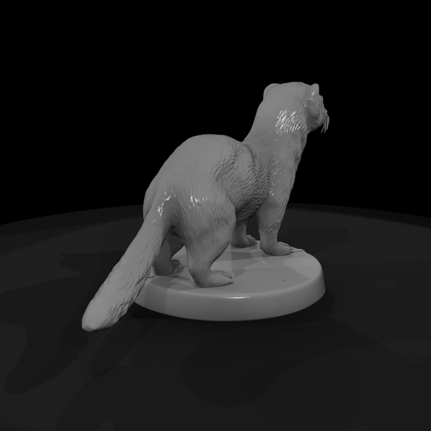 anim-28-ferret-5c2cc8
