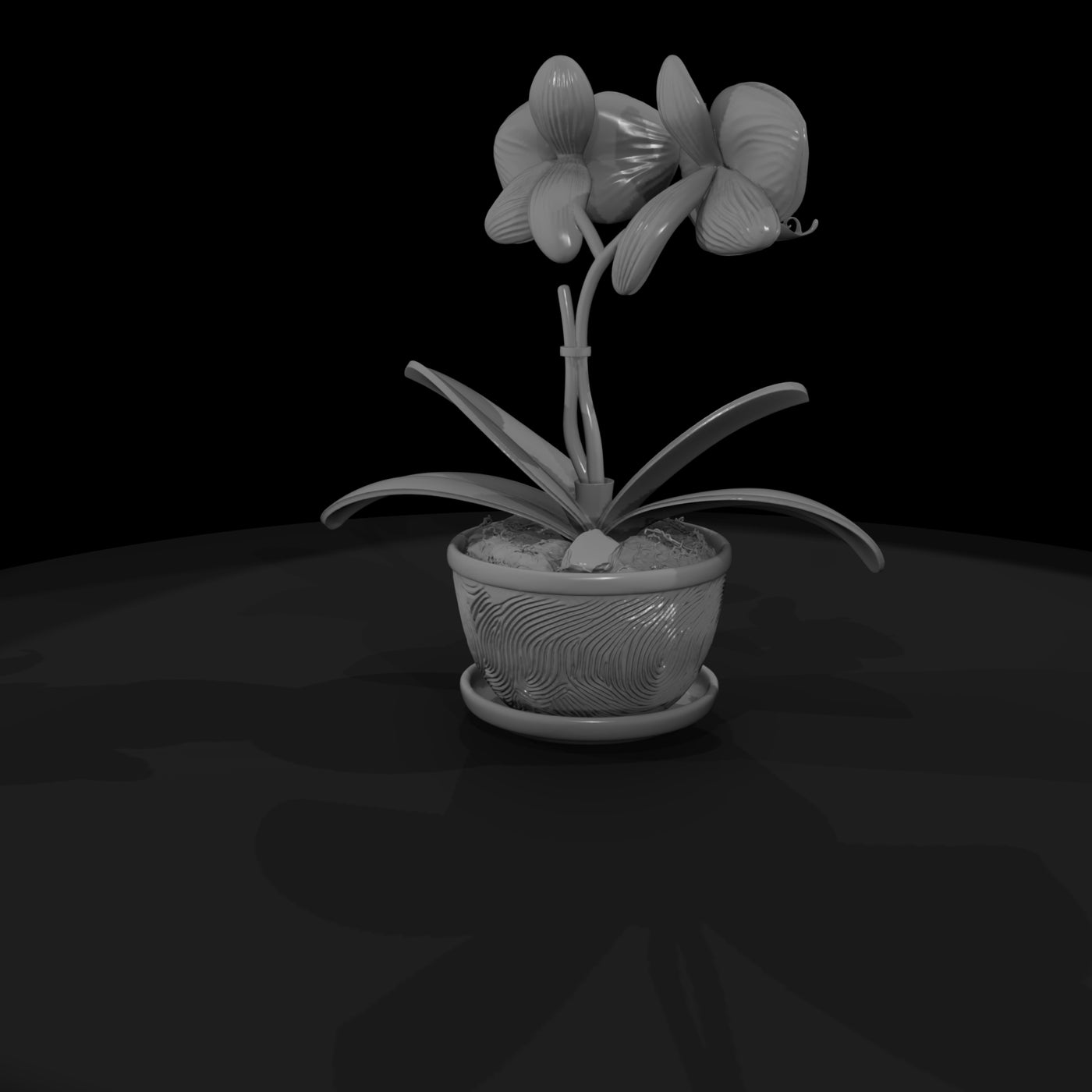 stylized-potted-moth-orchid-miniature-585965