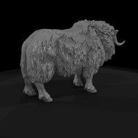 ant-272-musk-ox-female — thumbnail 5