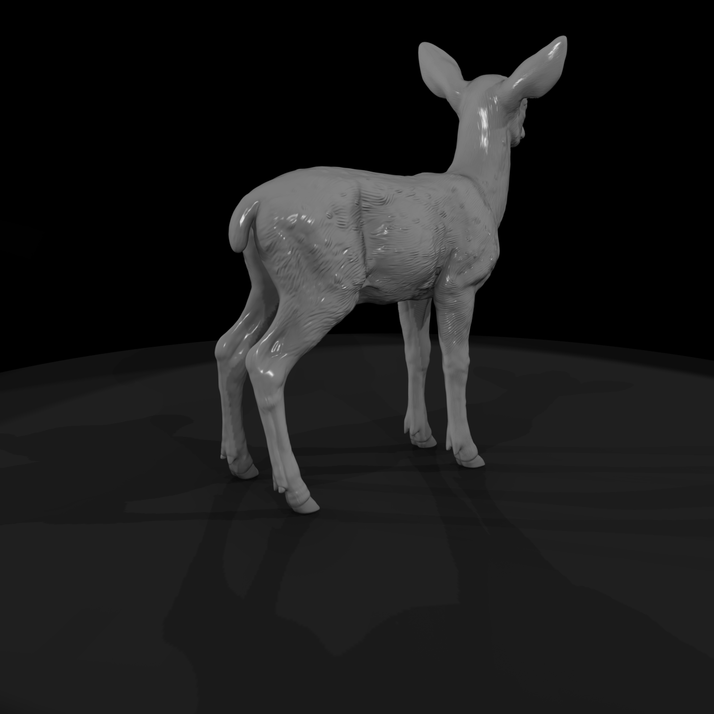 Young Spotted Deer Fawn Standing