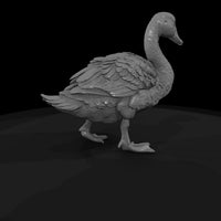 ant-123-mute-swan-adolescent — thumbnail 5