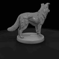 anim-11-border-collie-0762c7 — thumbnail 6