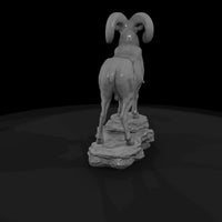 ant-055-bighorn-sheep-male — thumbnail 5