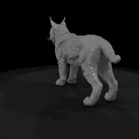 ant-157-eurasian-lynx-male — thumbnail 5