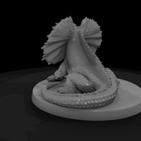 hitem2-p066-frilled-reef-lizard — thumbnail 5