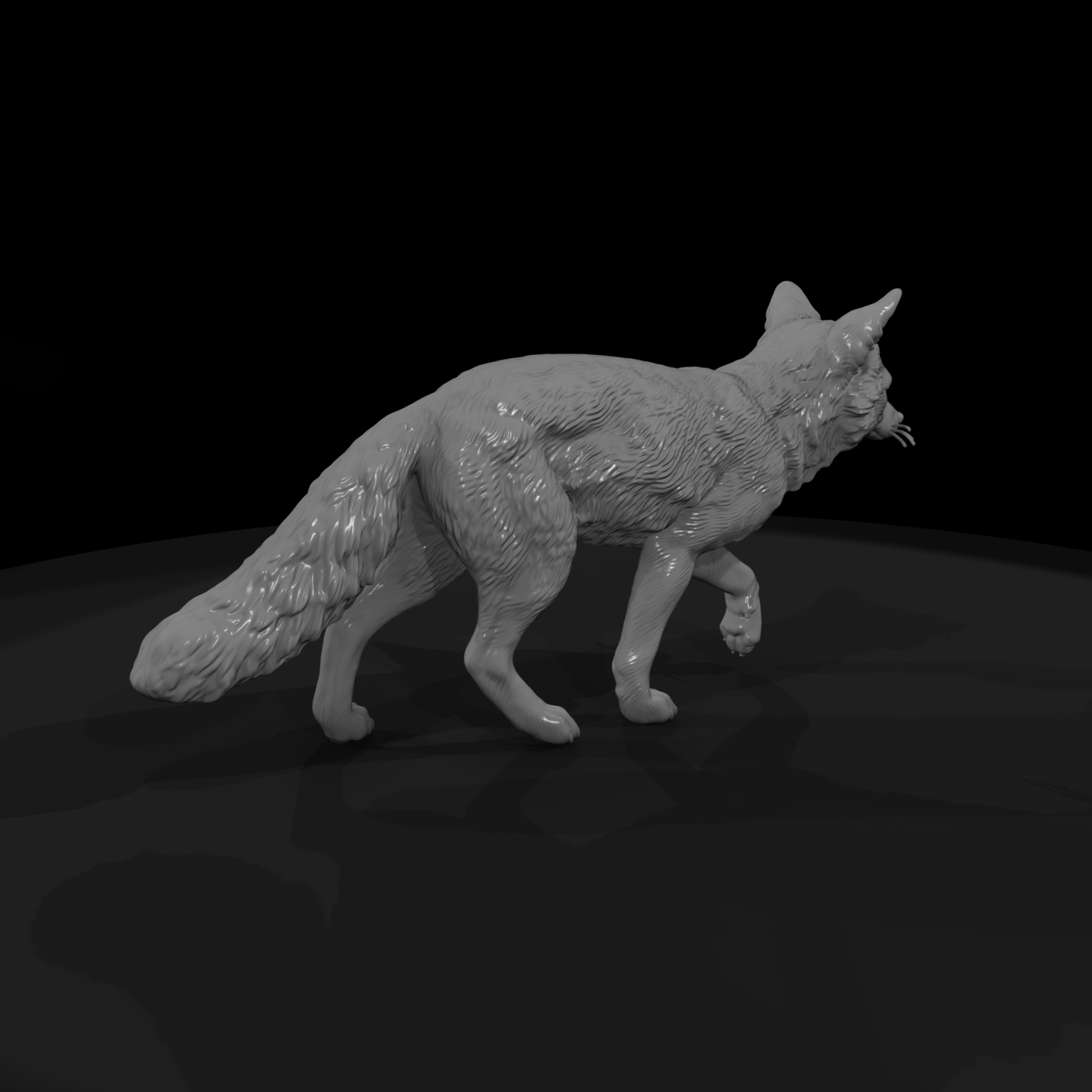 Ww 0325 Animal Gray Fox