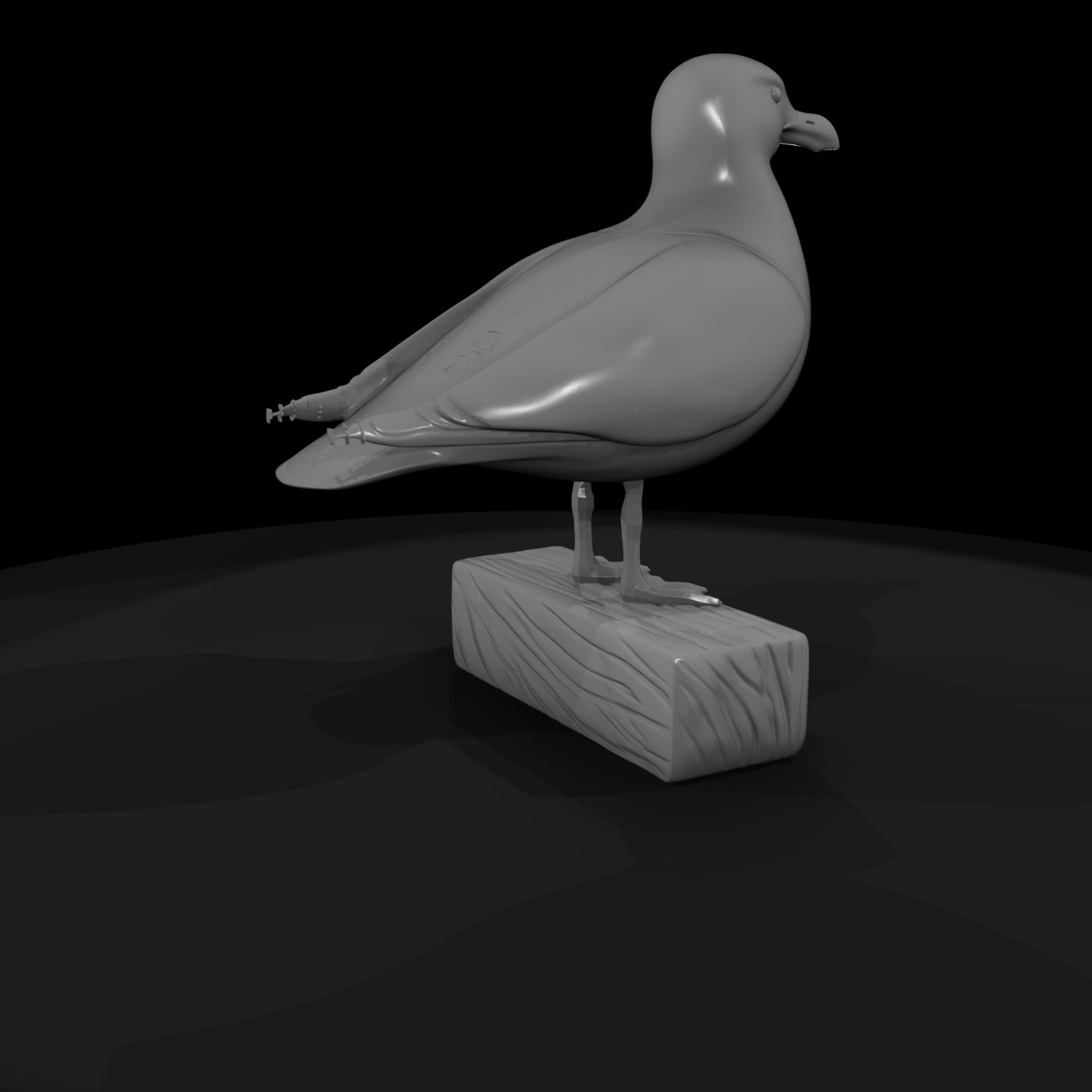 seagull