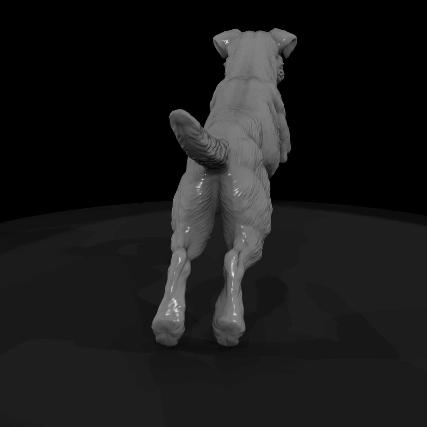 cir-125-animal-jumping-terrier