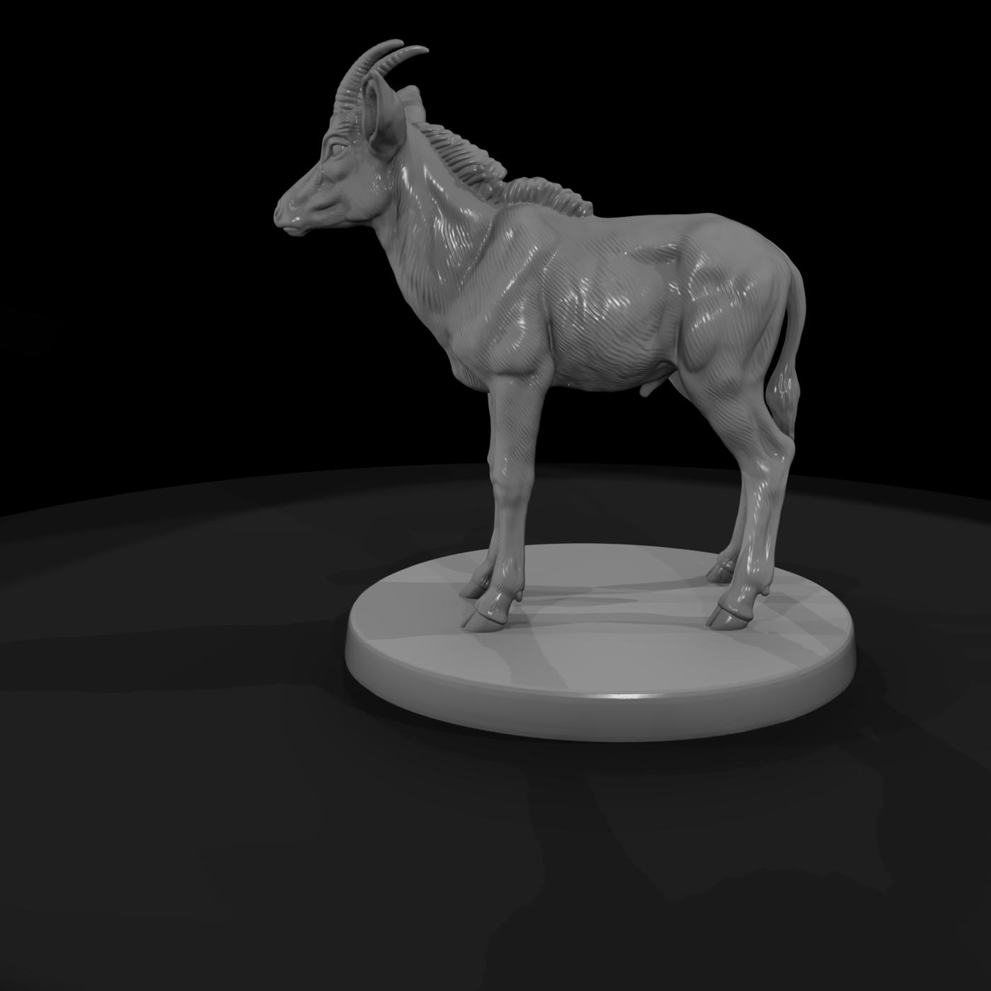 Young Sable Antelope