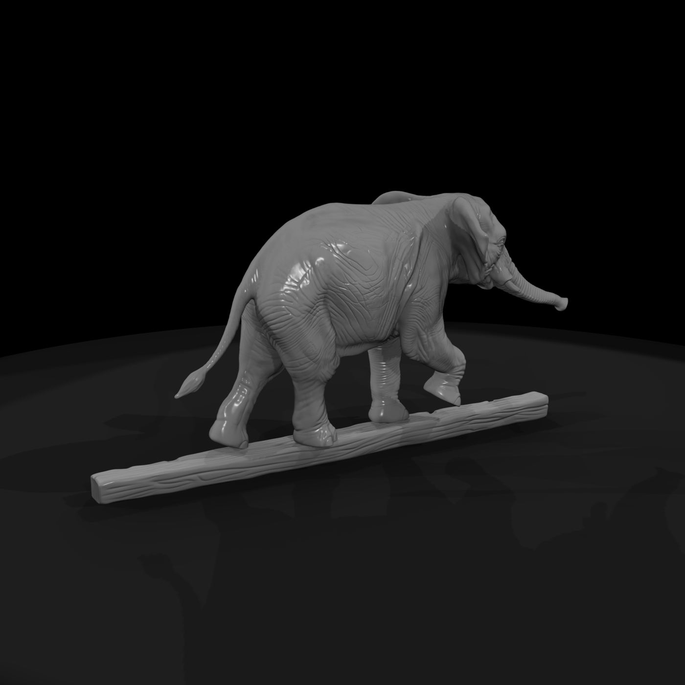 cir-135-animal-tightrope-elephant
