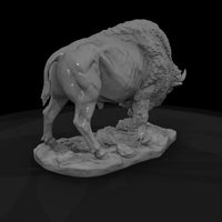 ant-049-american-bison-male — thumbnail 5