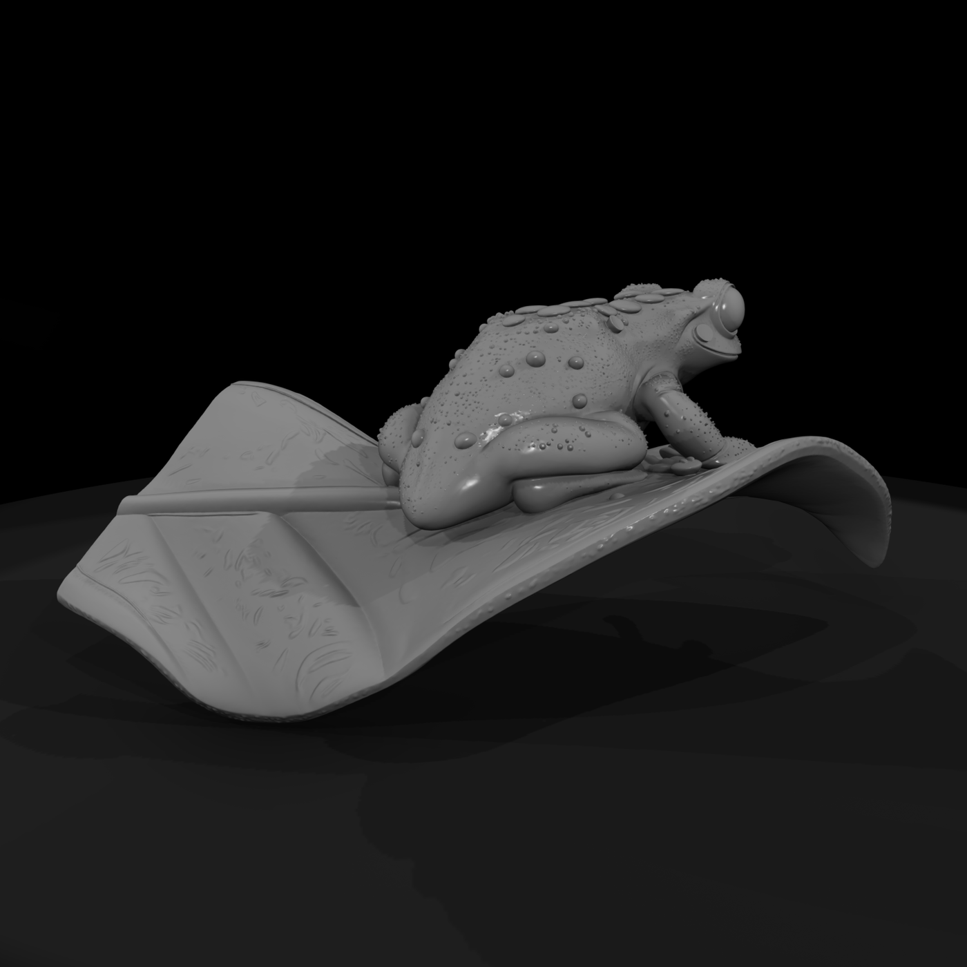 Realistic Tree Frog on Leaf — & Display