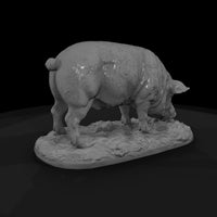 ww-0300-animal-hog — thumbnail 5