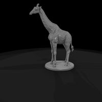 ant-026-giraffe-female — thumbnail 5