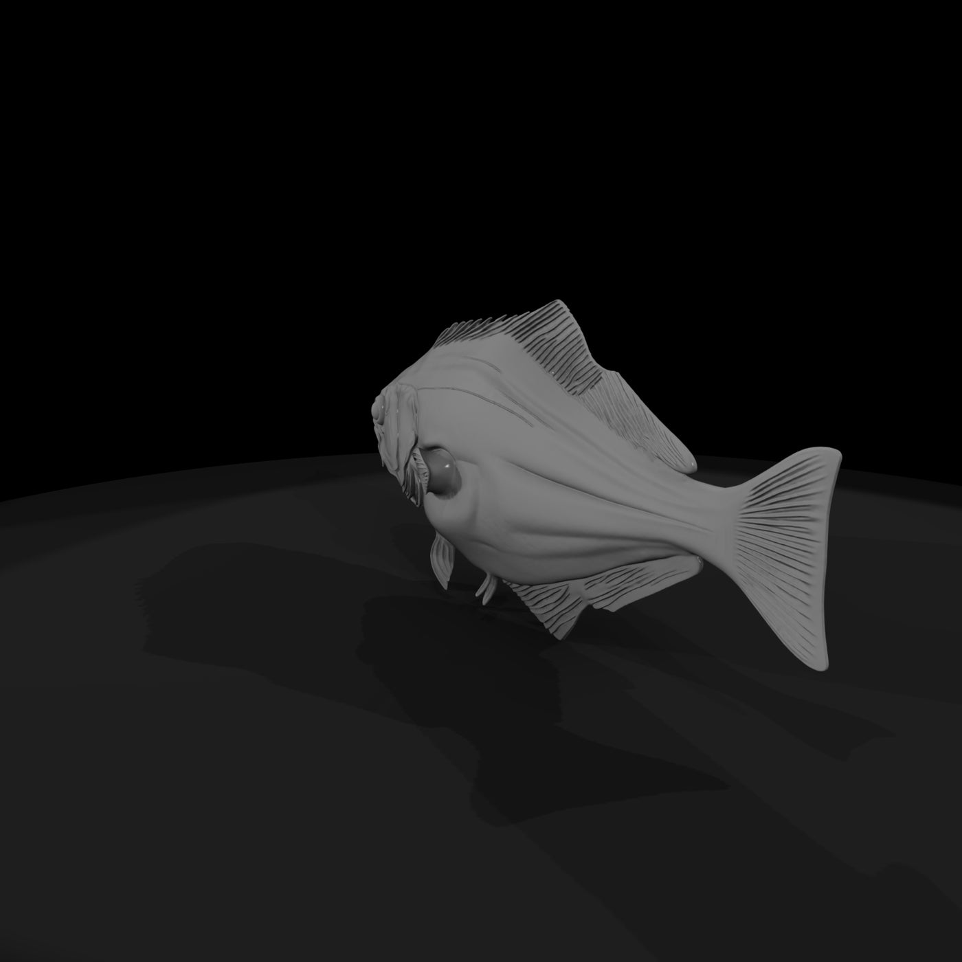 halibut-fish-model-for-dioramas-458759