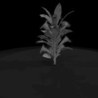 deadly-plants-screaming-heliconia — thumbnail 7