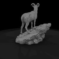 ant-056-bighorn-sheep-female — thumbnail 5