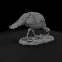 ant-101-wild-turkey-female — thumbnail 5